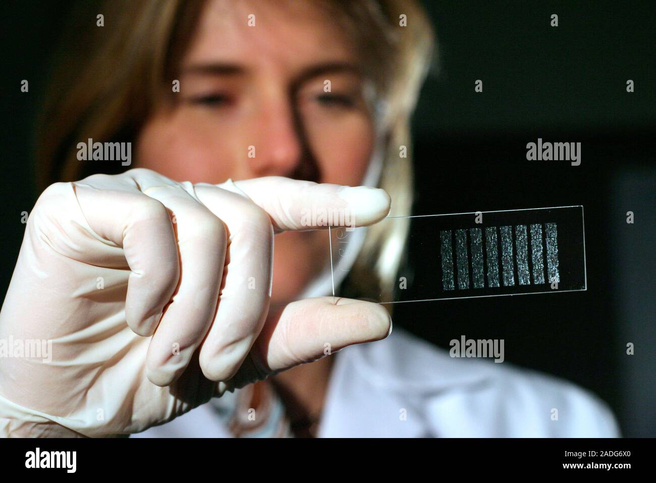 Genetic analysis. Researcher observing fluorescent samples of DNA ...