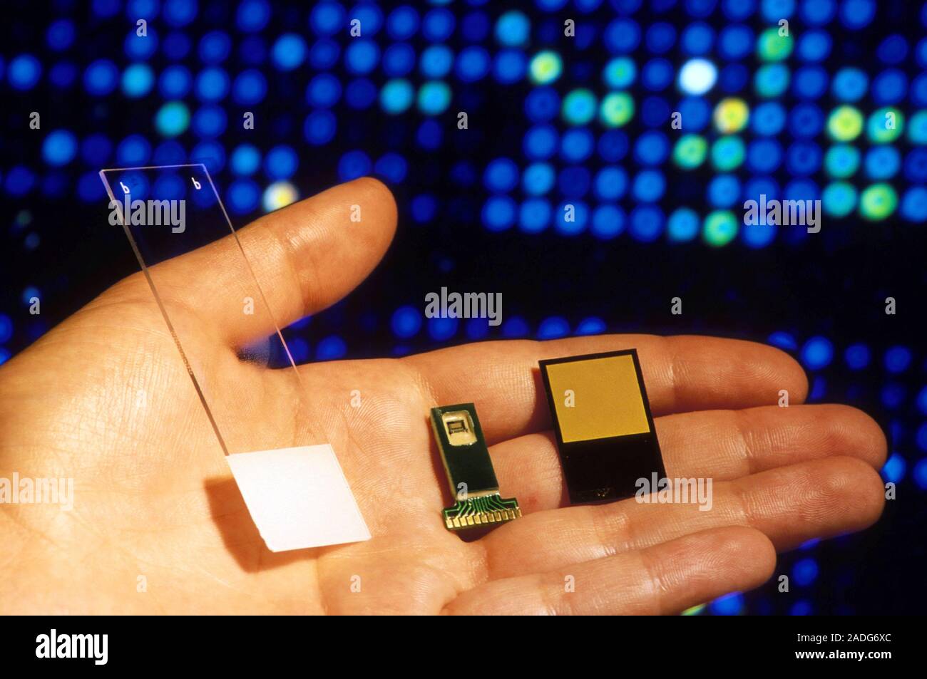DNA analysis. DNA glass microarray (left) and two DNA microchips (or ...