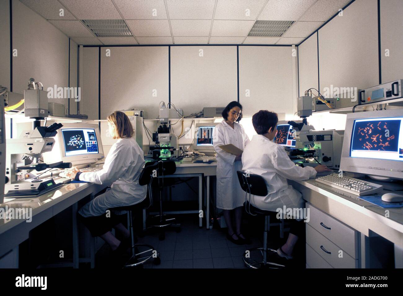 Chromosome analysis. Researchers analysing human chromosomes using a ...