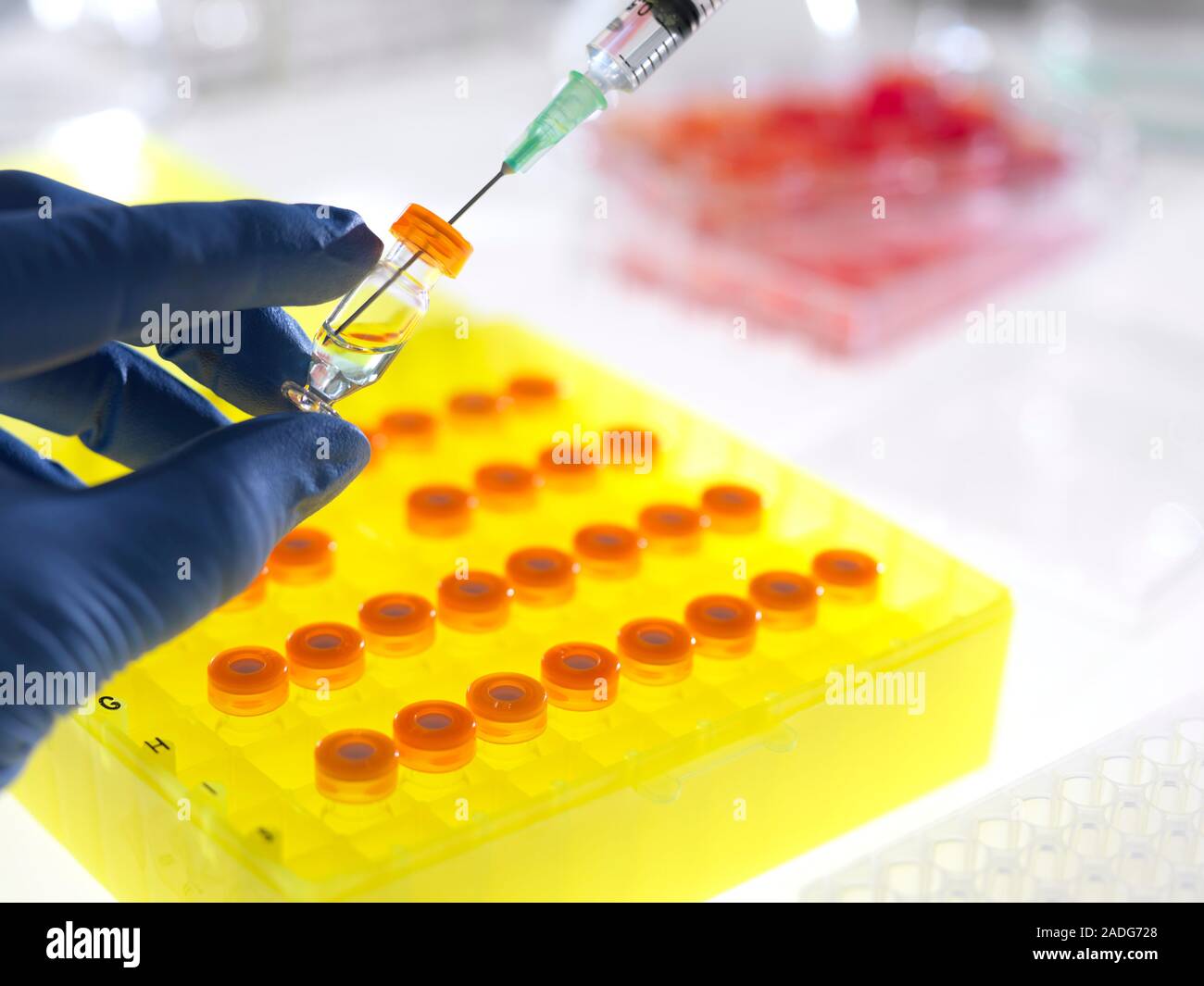 Sample preparation. Scientist using a needle and syringe to inject a