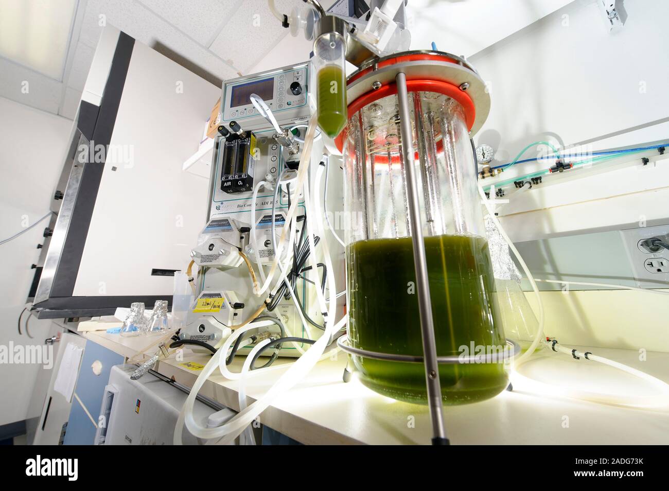 Algae fermentation bioreactor, Solazyme Inc., USA. Algae are