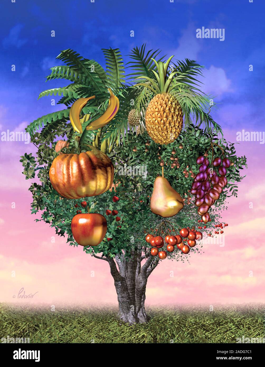 Genetically modified food, conceptual computer artwork. Genetic modification is where an organism's DNA (deoxyribonucleic acid) is altered to create i Stock Photo