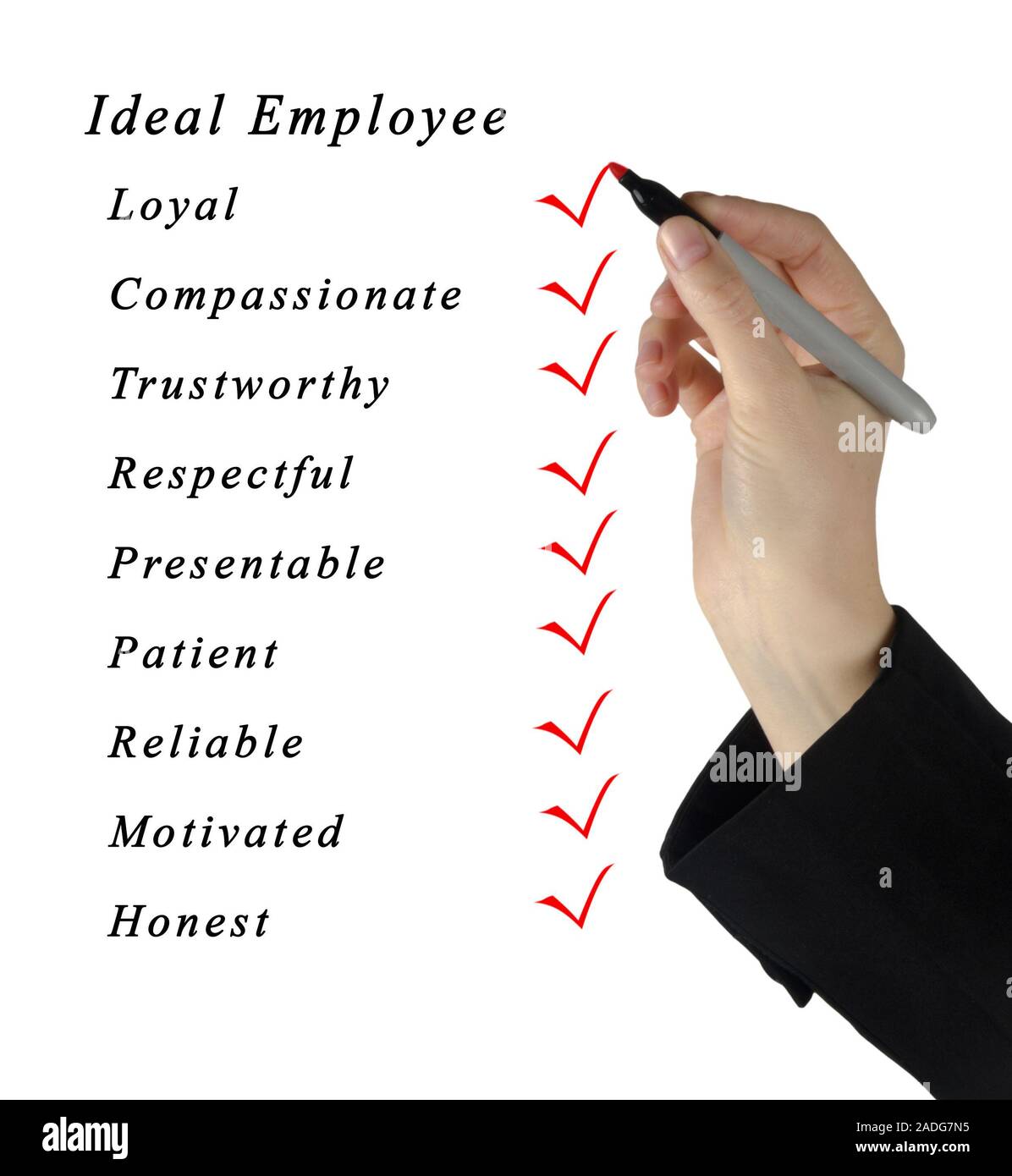 Ideal Employee Stock Photo