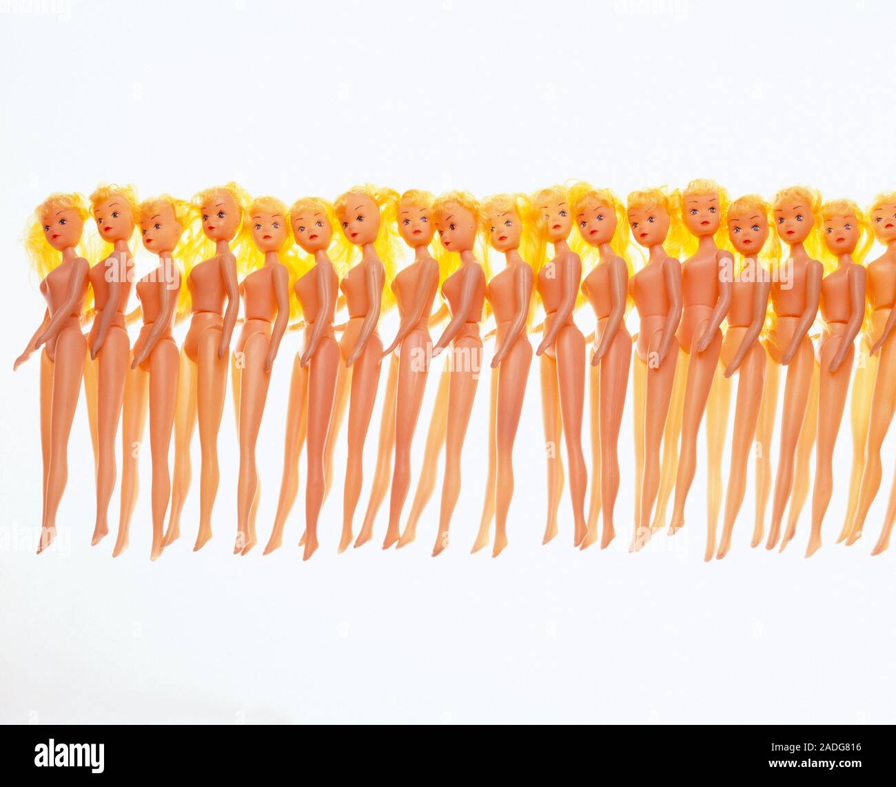 Human cloning. Conceptual image representing human cloning showing a