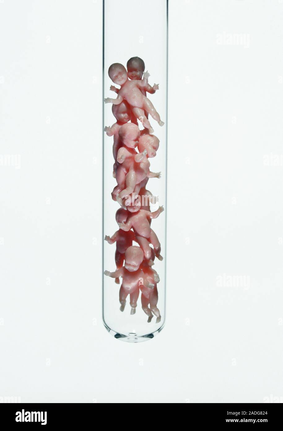 Human cloning. Conceptual artwork of human babies in a test tube, representing human cloning and