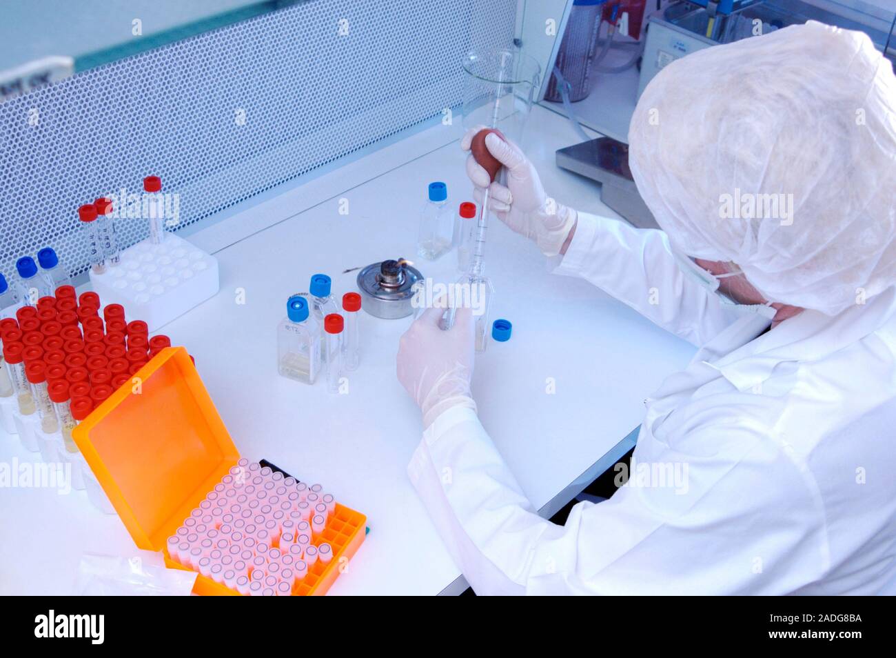 Biological research. Researcher pipetting liquid into sample tubes ...