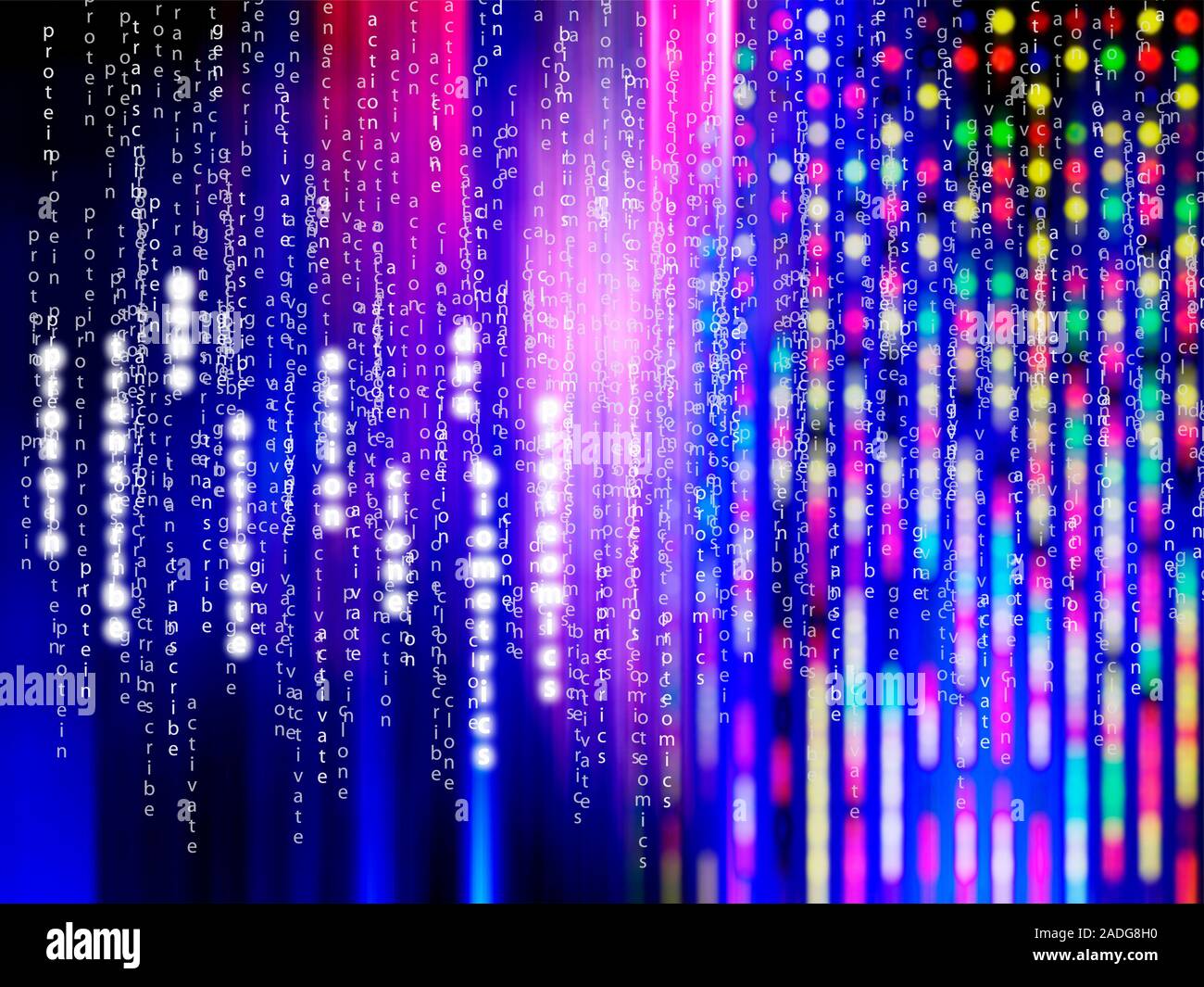 Protein research. Computer artwork of a protein microarray (coloured