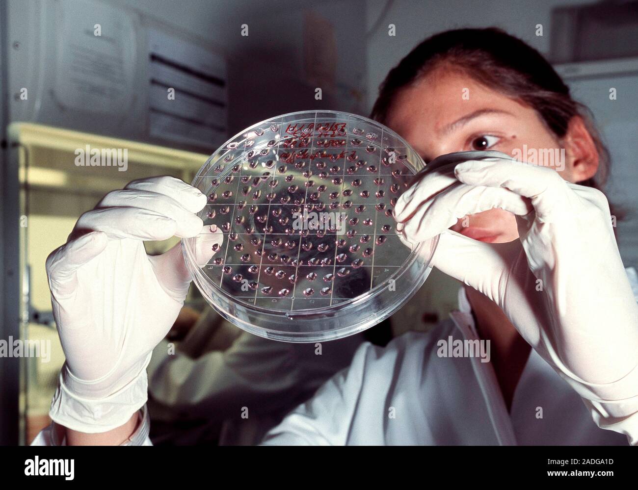 Большинство людей исследуют. Биотехнологии клетки. Клеточная Биоинженерия. Биотехнология в медицине. Биотехнологии ученые.