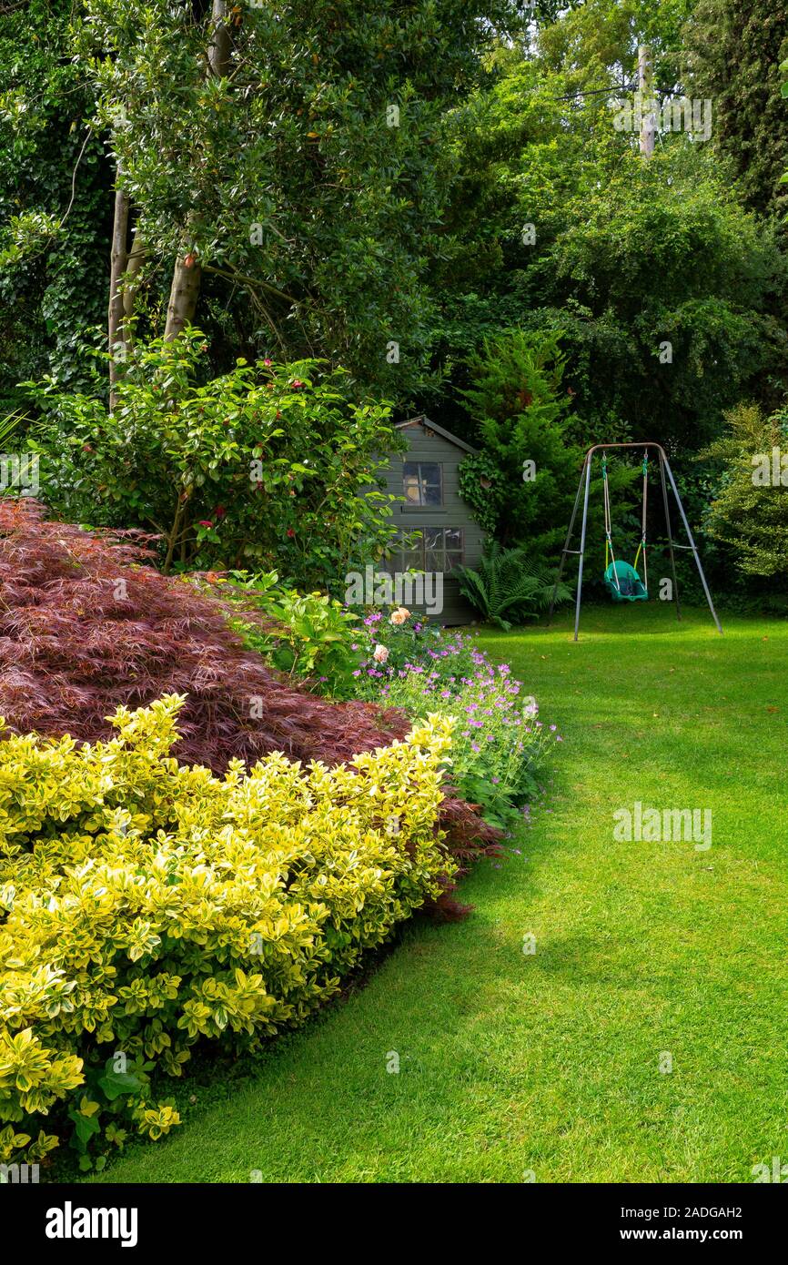 View of sloping garden with herbaceous borders. Featuring Euonymus fortunei 'Emerald 'n' Gold' and Acer palmatum 'Dissectum Atropurpureum' Stock Photo