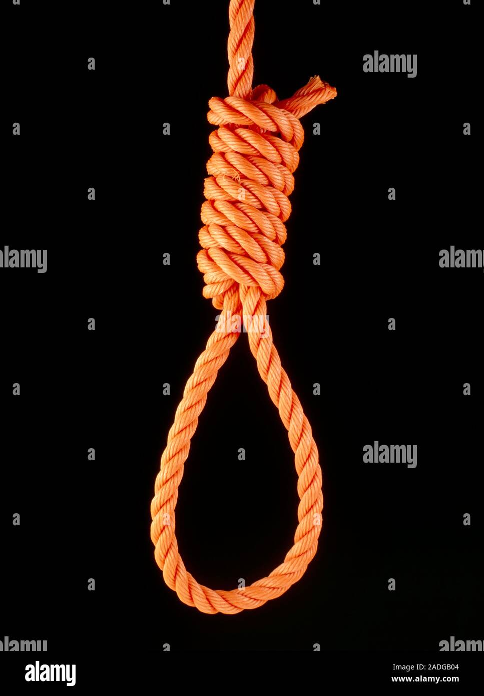 A hangman's noose, also known as Jack Ketch's knot; a very strong noose designed to withstand a heavy shock loading. Prior to the 19th century, victim Stock Photo
