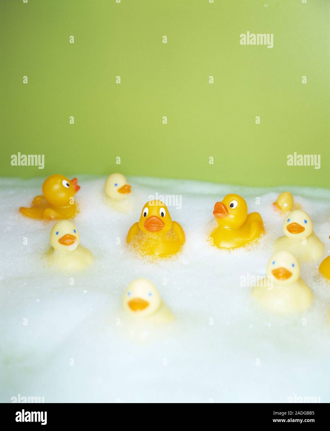 Rubber ducks in a foamy bath. Stock Photo