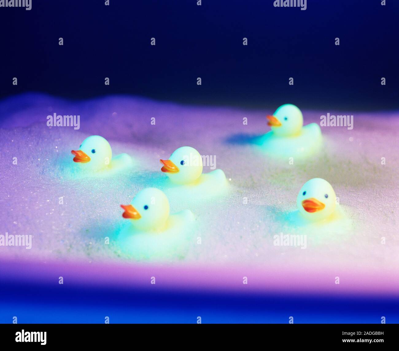 Rubber ducks in a foamy bath. Stock Photo