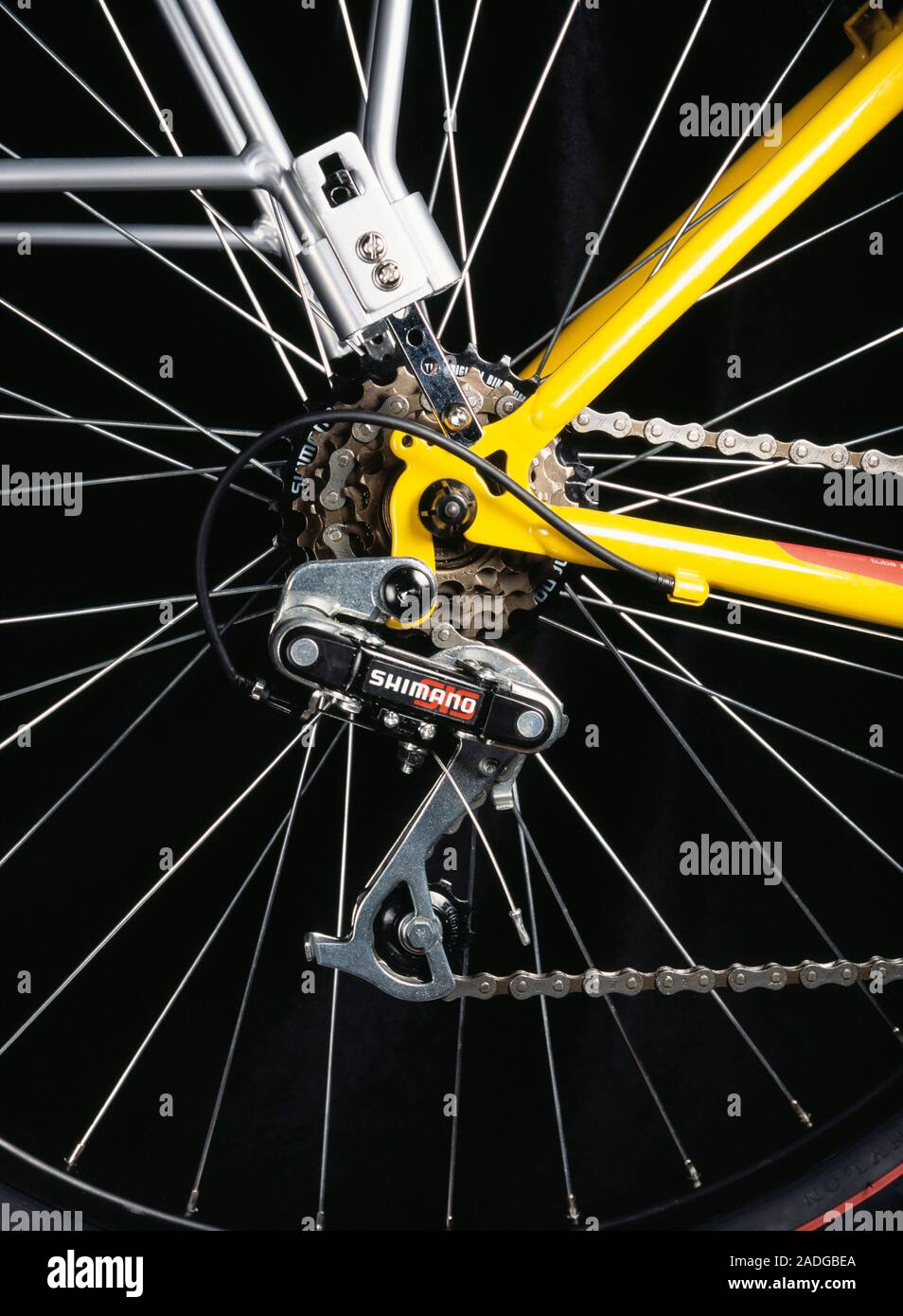 Bicycle gears. Rear cogs for a bicycle gearing system, with the gear