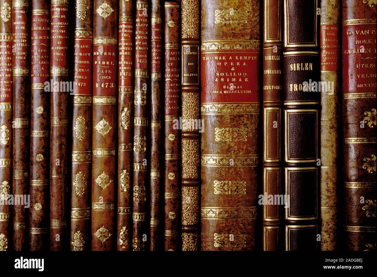 Rare books. Collection of rare leatherbound books from the 15th