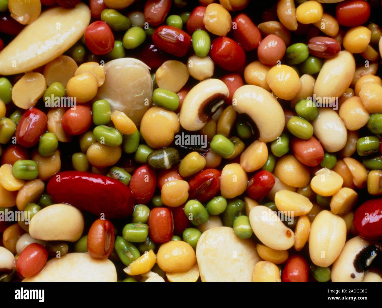 Collection of pulses; these are the edible seeds of leguminous plants