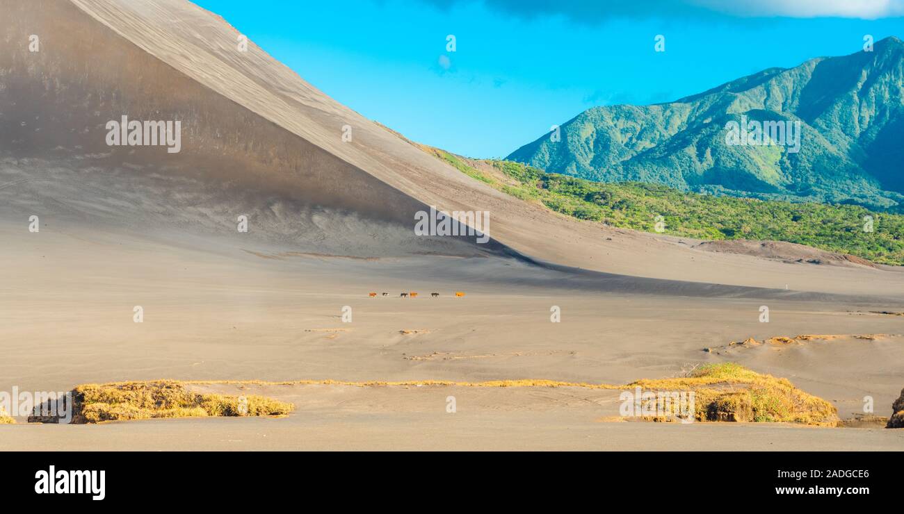Mount Yasur Volcano Tanna Island Vanuatu Stock Photo Alamy Mount Yasur Volcano Tanna Island Vanuatu Stock Photo Alamy