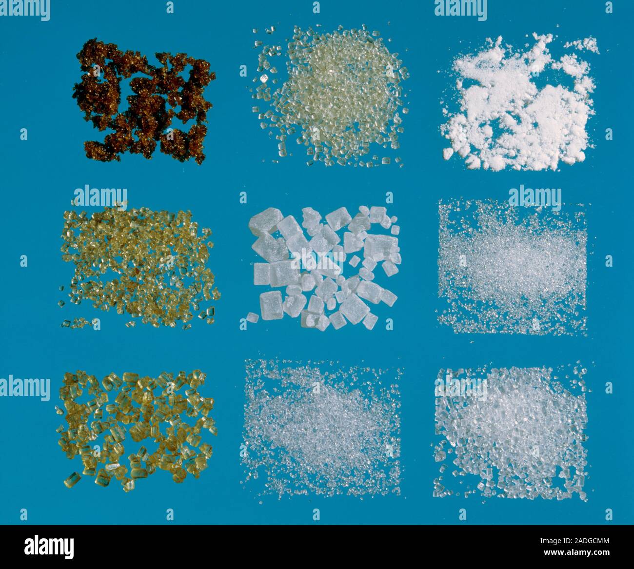 Types of sugar. Selection of different types of sugars. From top left dark brown Muscovado