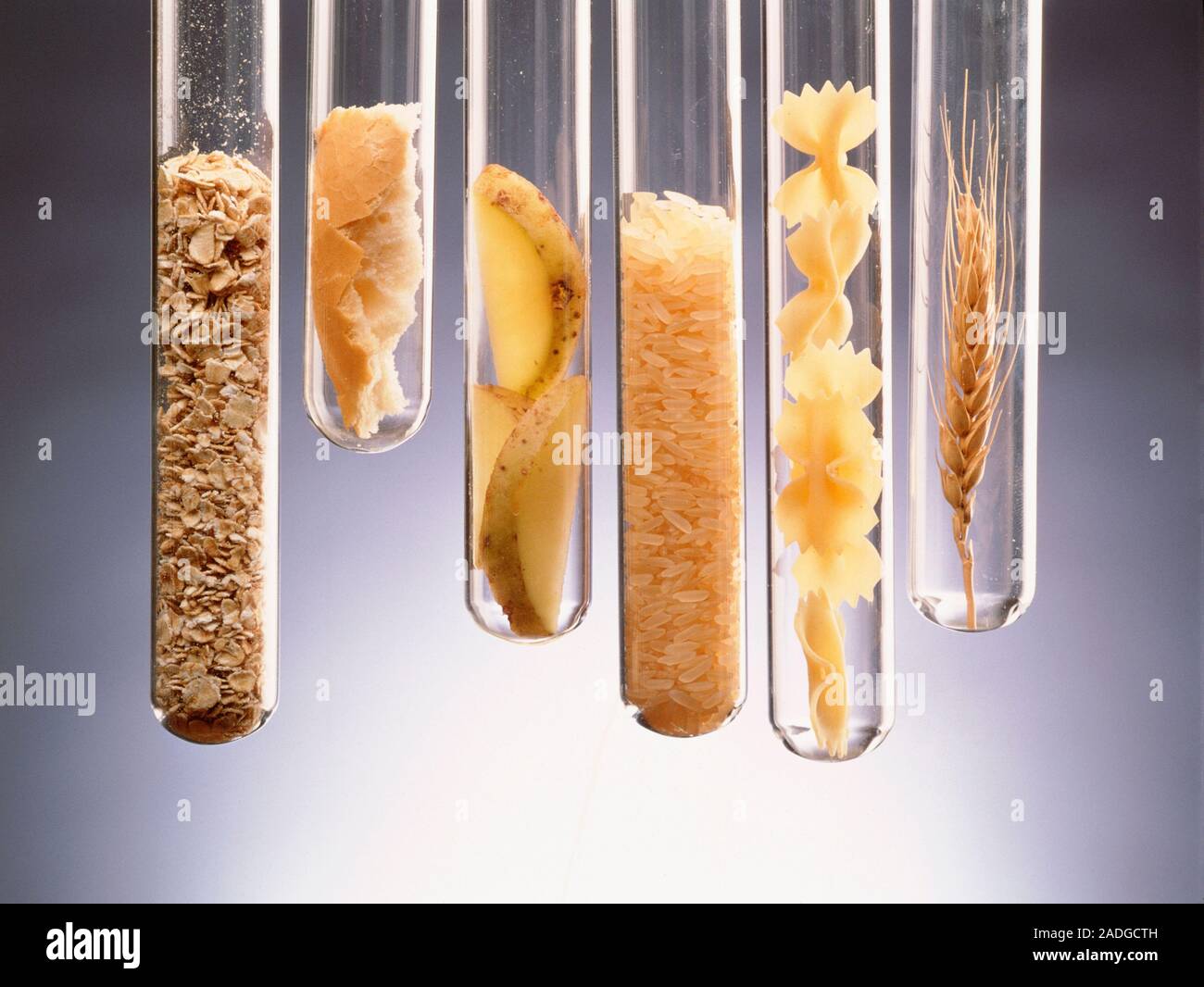 Starchrich foods. Selection of starchrich foods presented in test