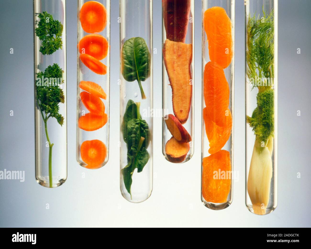 Nutrientrich foods. Selection of vitamin and mineralrich foods in