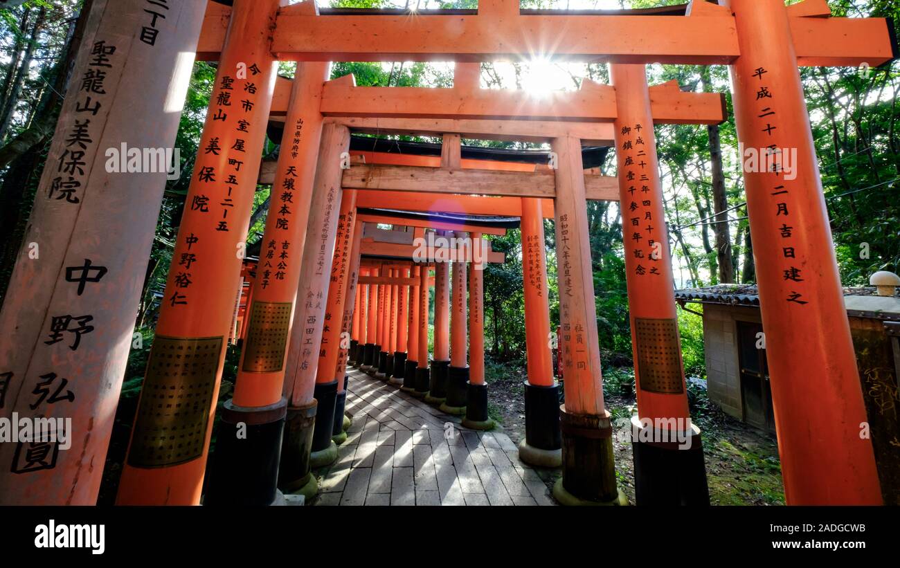 A Wide Angle With Penetrating Sun Rays And Beautiful Colors Of Fushimi Inari Gates Kyoto Japan Stock Photo Alamy A Wide Angle With Penetrating Sun Rays And Beautiful Colors Of Fushimi Inari Gates Kyoto Japan Stock Photo Alamy
