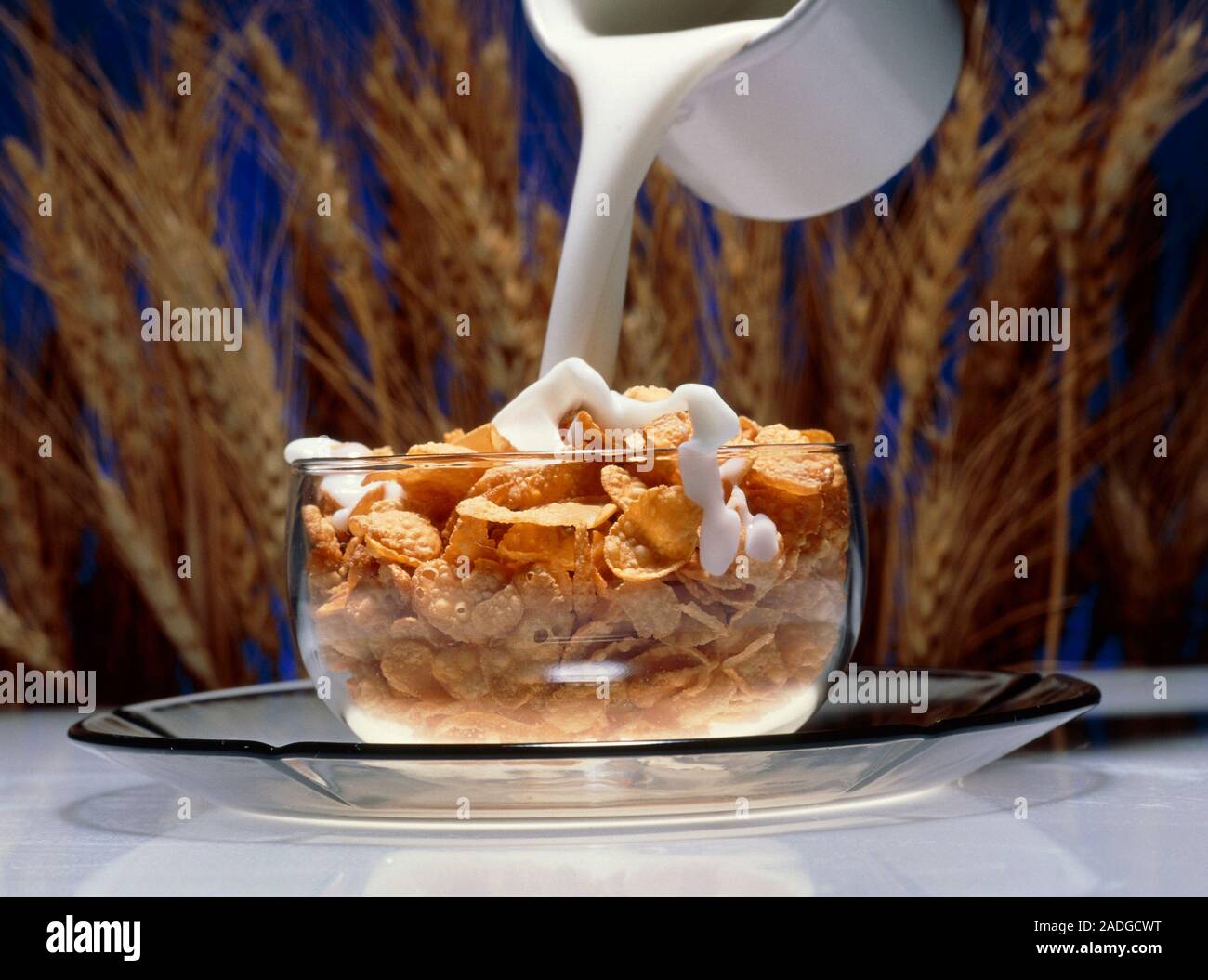 Breakfast cereal. Milk being poured into a bowl of cornflakes breakfast