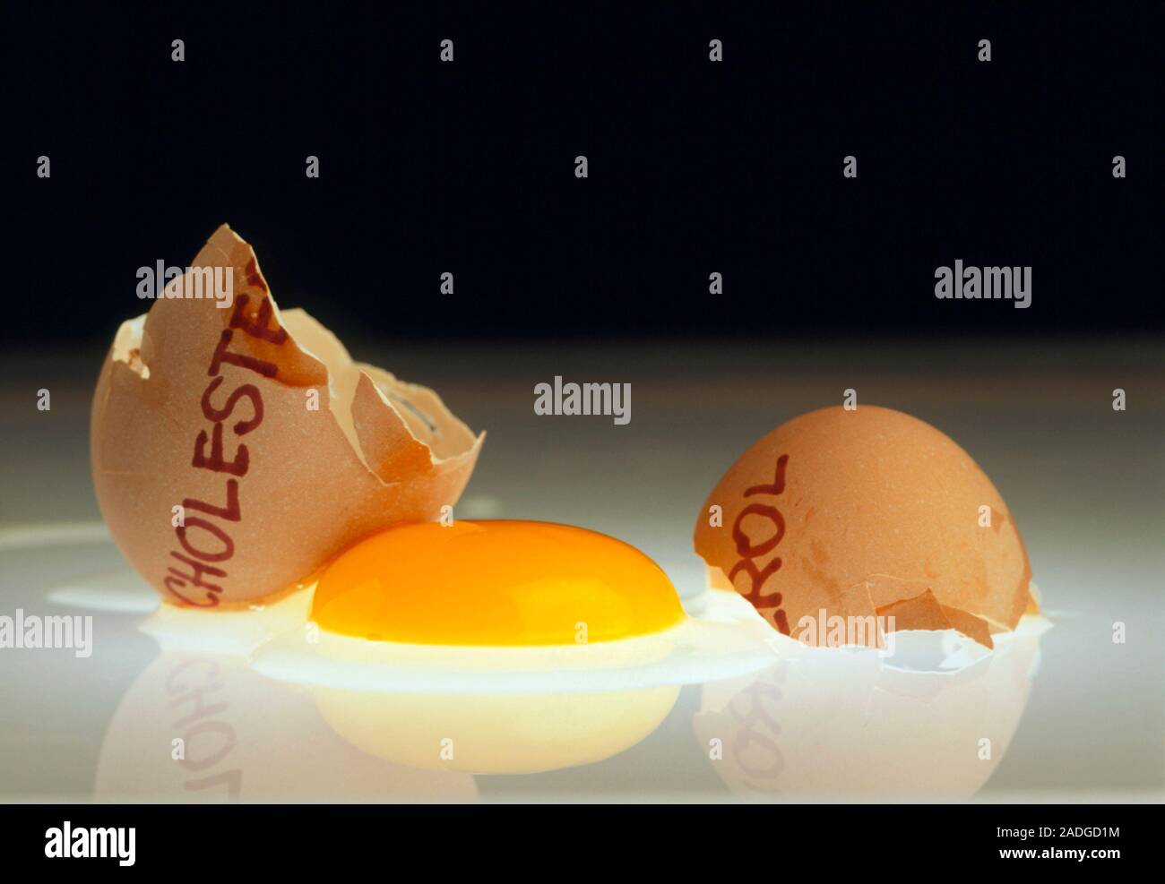 Egg and cholesterol. Cracked egg as a symbol of cholesterol rich food