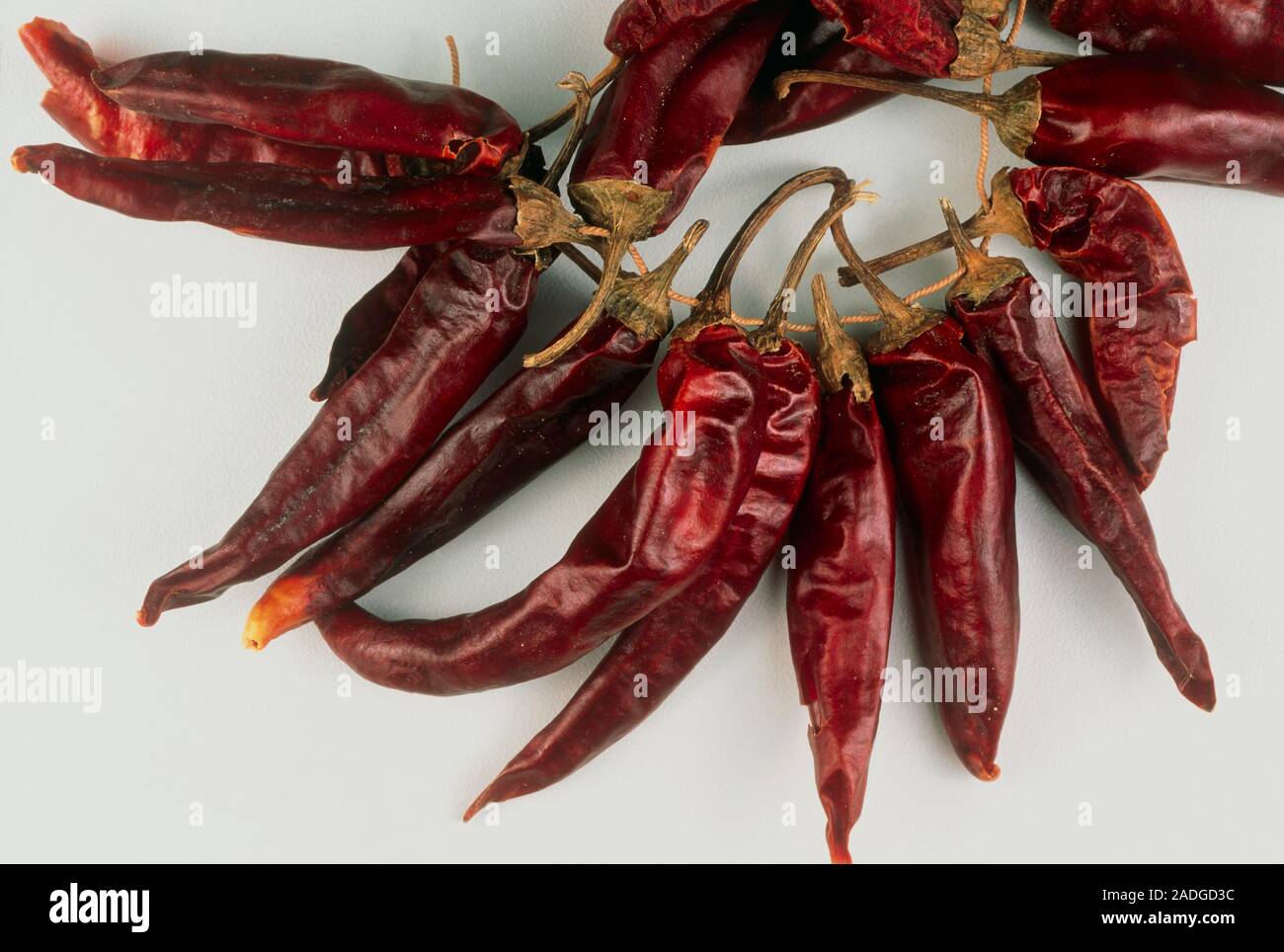 Cayenne peppers. Cayenne chilli peppers (Capsicum frutescens) are hot