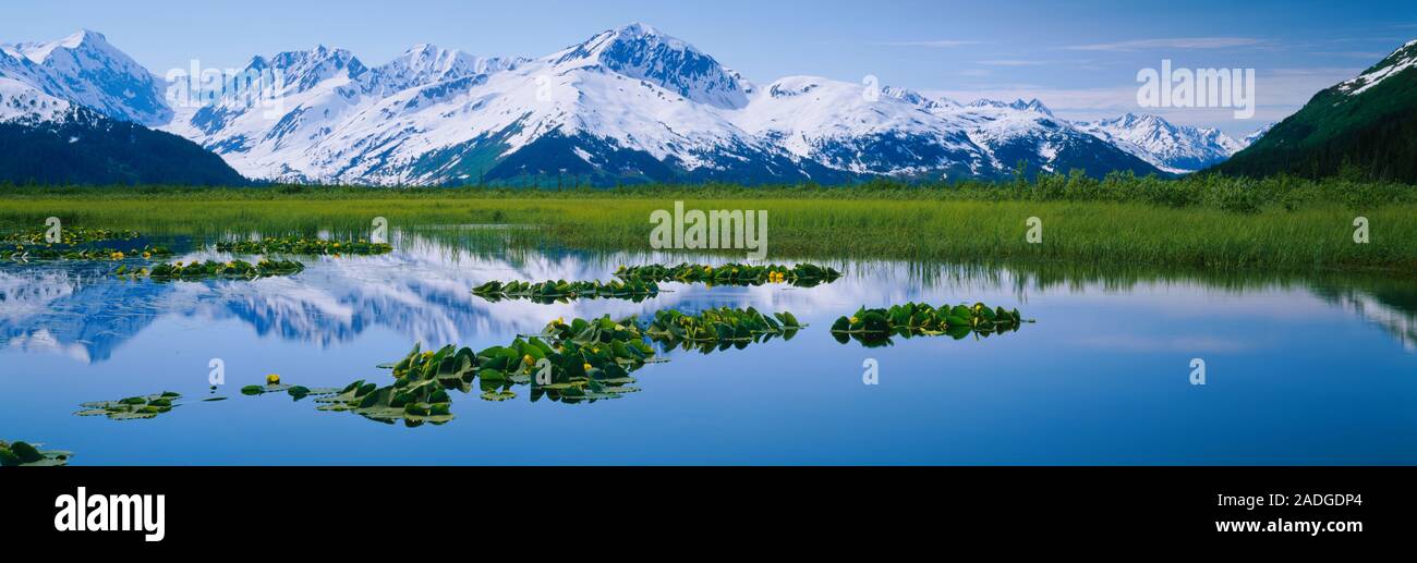 Reflection of snowcapped mountains in water, Chugach Mountain, Turnagain Arm, Alaska, USA Stock Photo