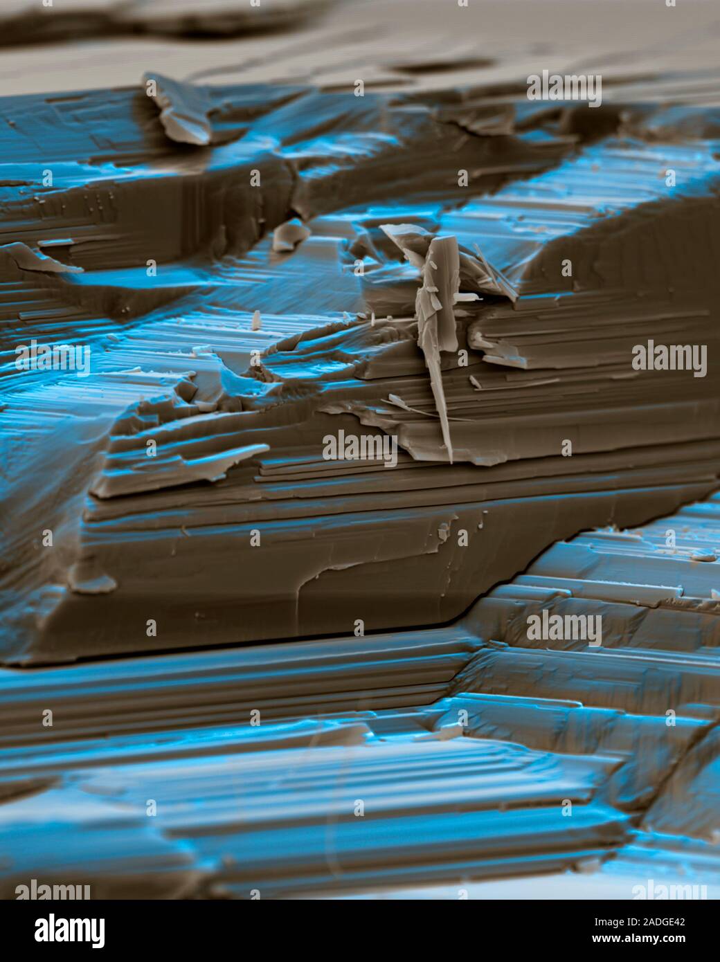 Salt crystals. Coloured scanning electron micrograph (SEM) of fractured