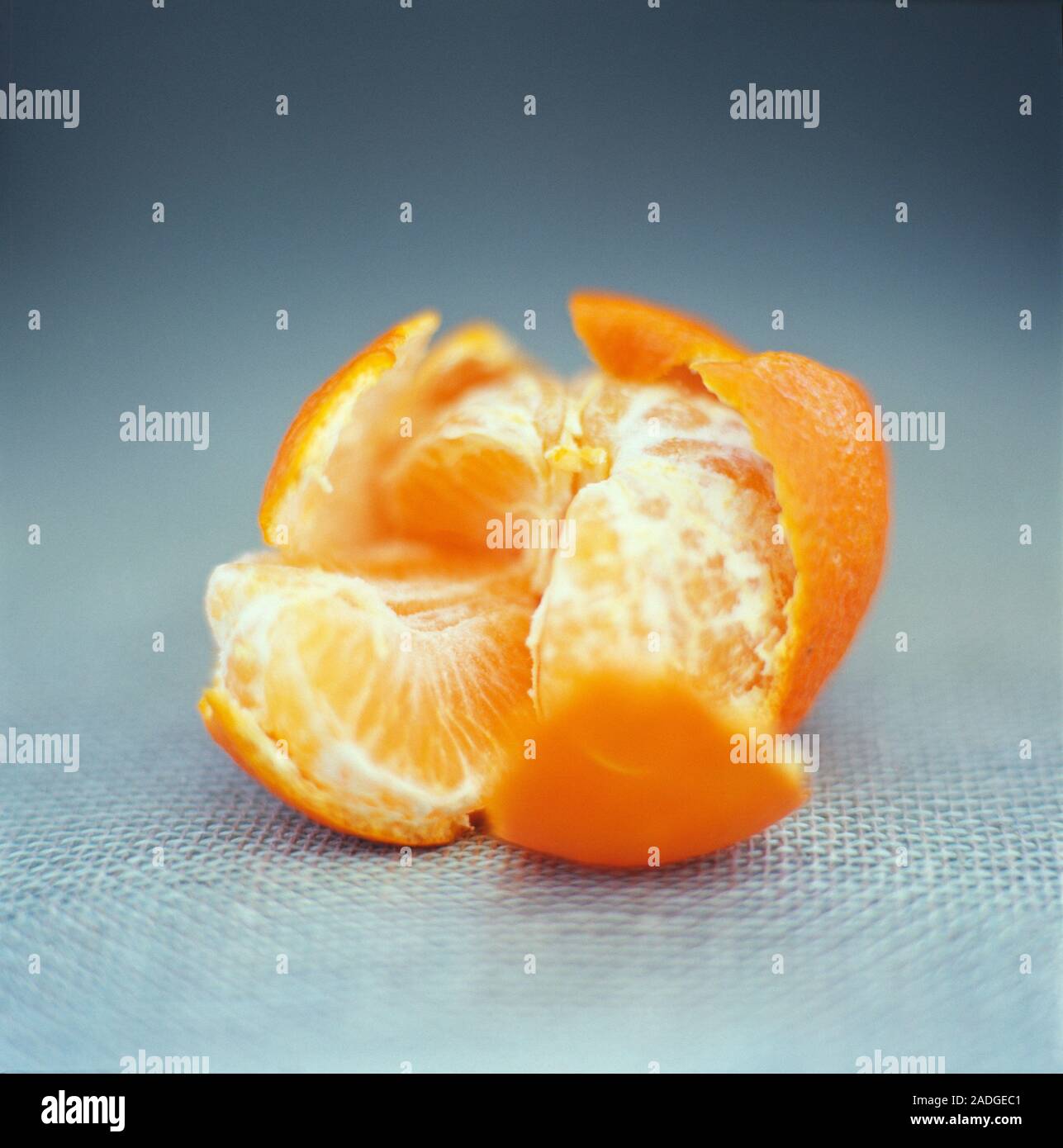 Satsuma. Stock Photo