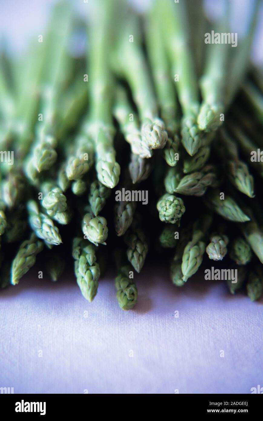 Asparagus (Asparagus officinalis) spears This seasonal vegetable is a