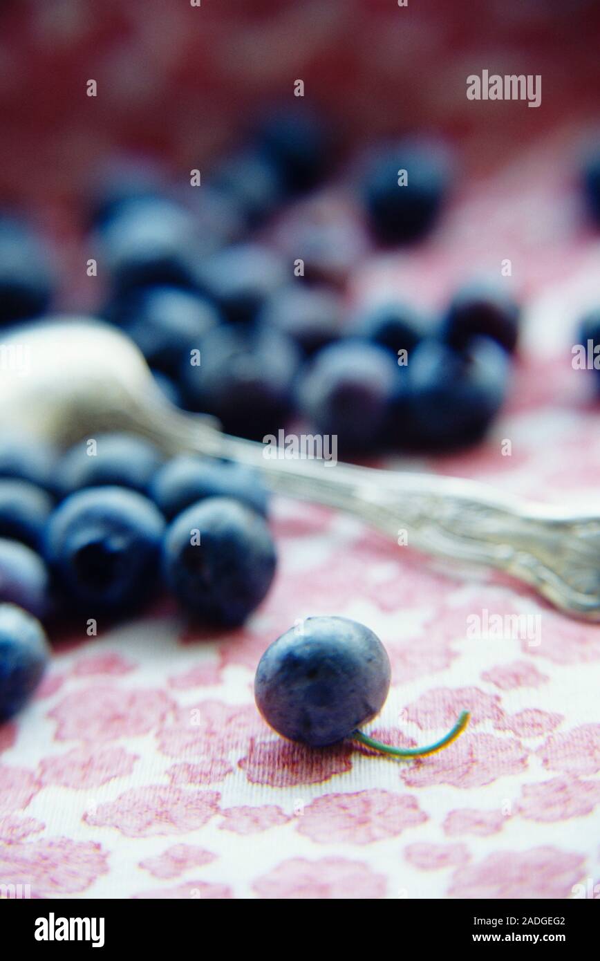 Blueberries with a spoon. These are the fruit of the blueberry plant