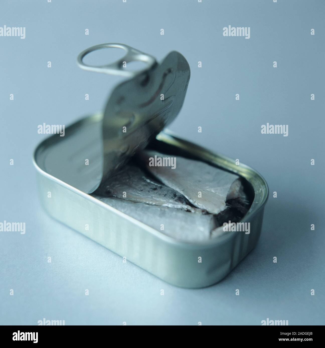 Sardines in a metal container, preserved in oil. Sardines are a good