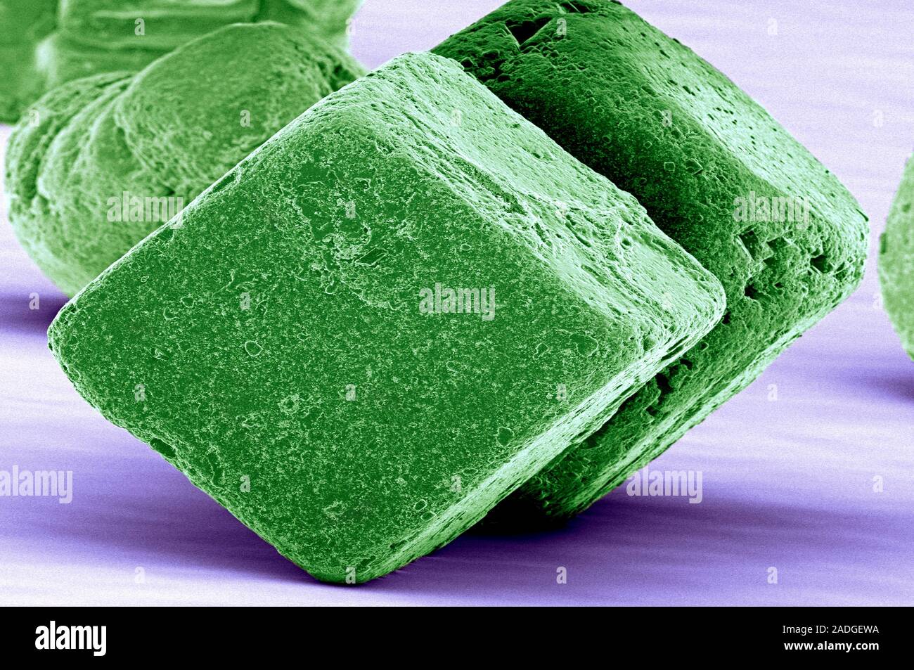 Table salt crystals. Coloured scanning electron micrograph (SEM) of