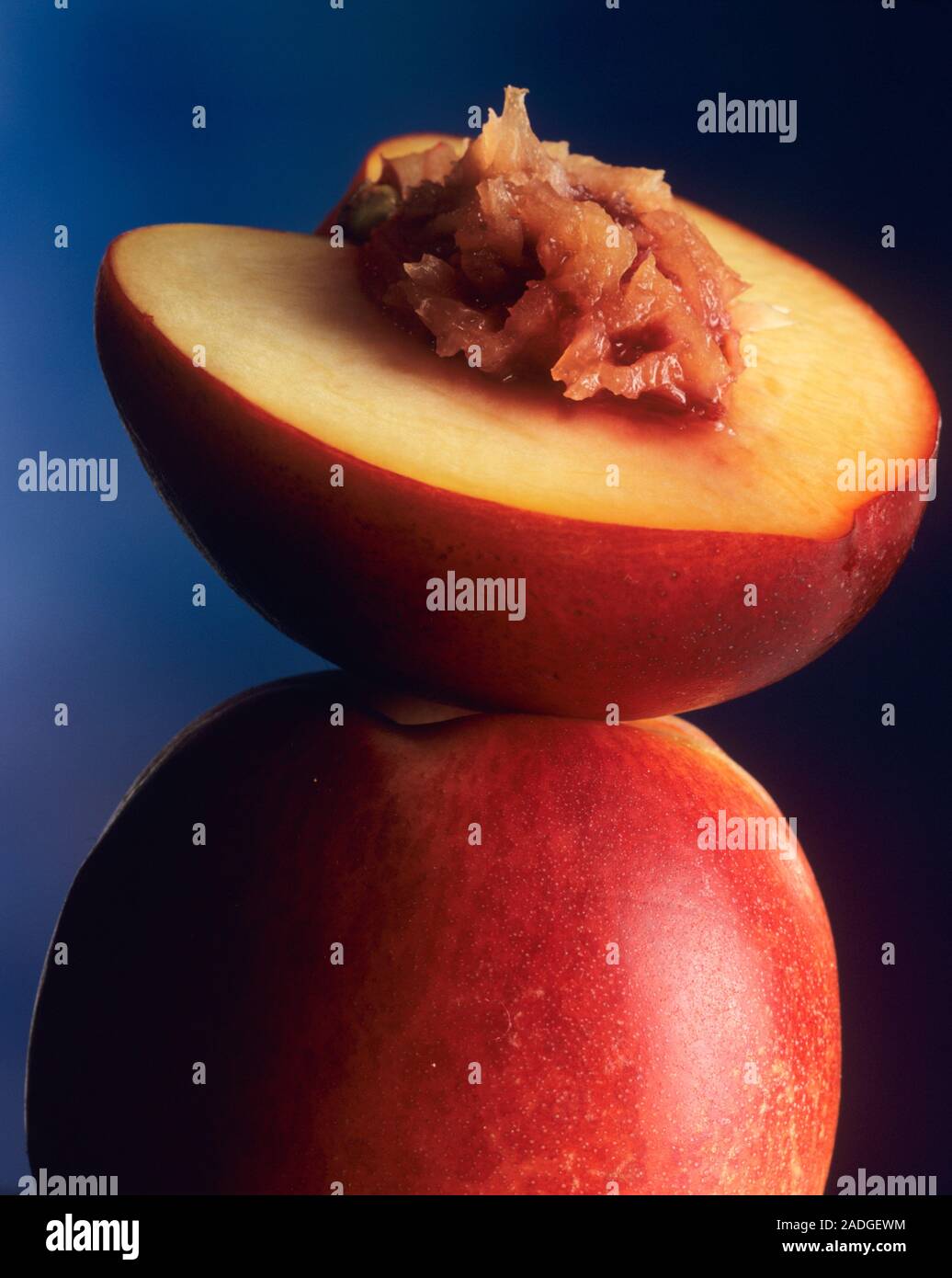 Peaches. One is cut in half revealing its stone. Peaches are a good source of vitamin C Stock