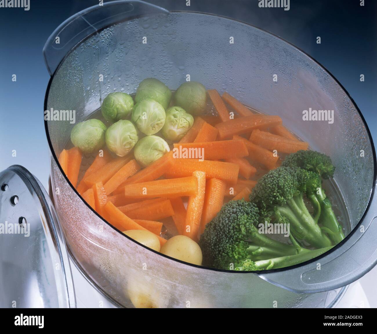 Steaming vegetables. Assortment of vegetables being cooked in a steamer