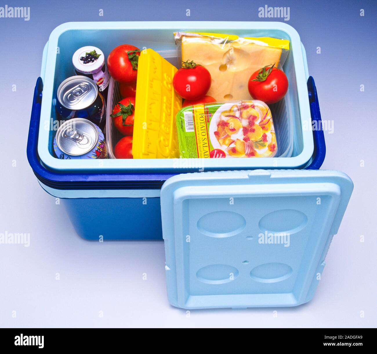 Food packed in a cool box ready for a picnic. The plastic box is double