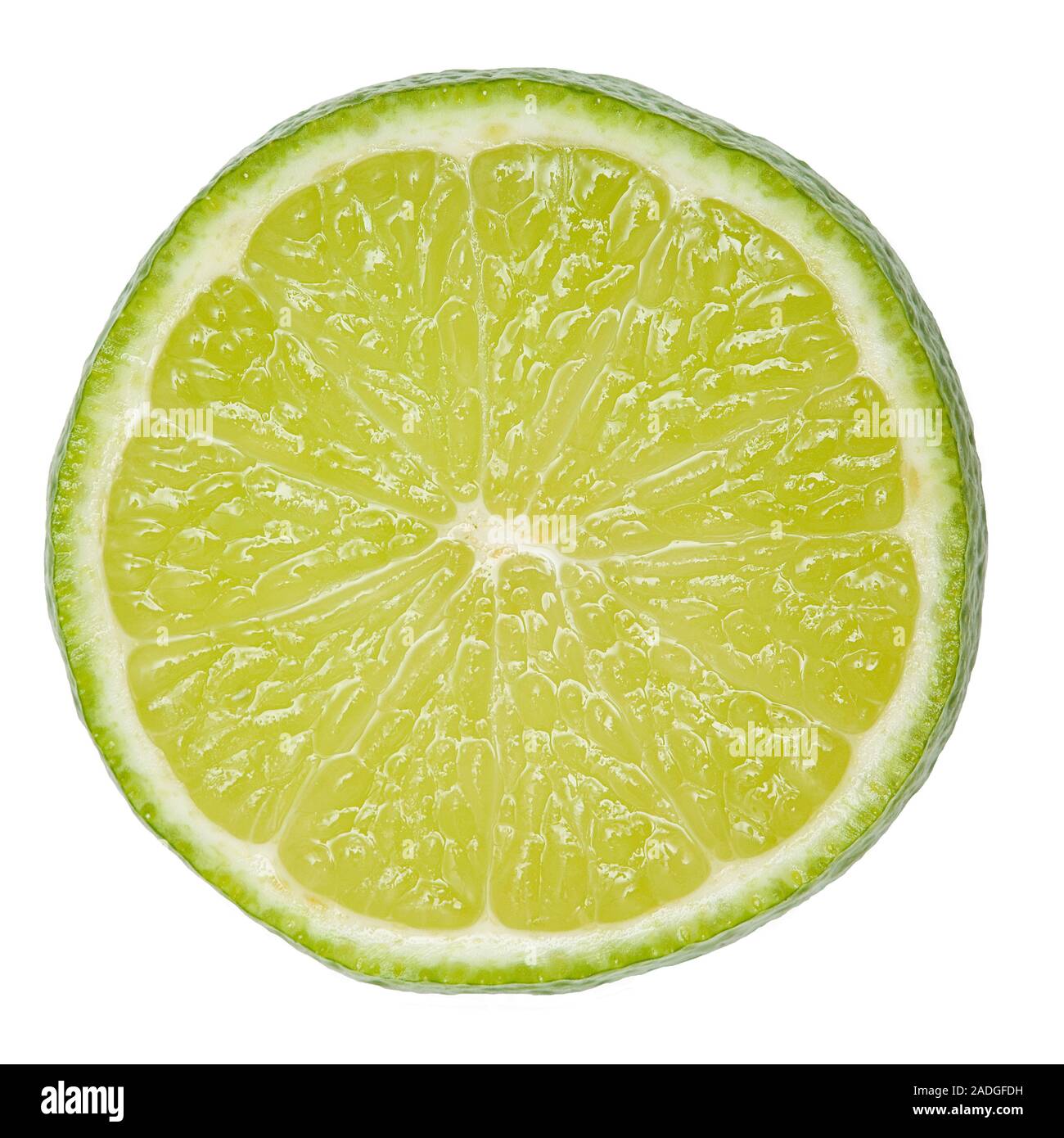 Lime slice. Limes (Citrus aurantifolia) are a good source of vitamin C