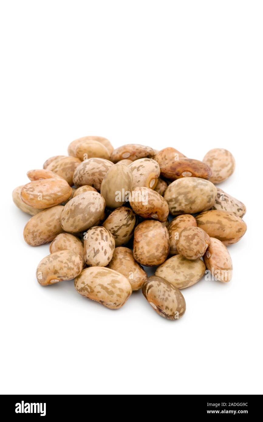 Pinto Beans (Phaseolus vulgaris cv.). This form of the Common Bean is a
