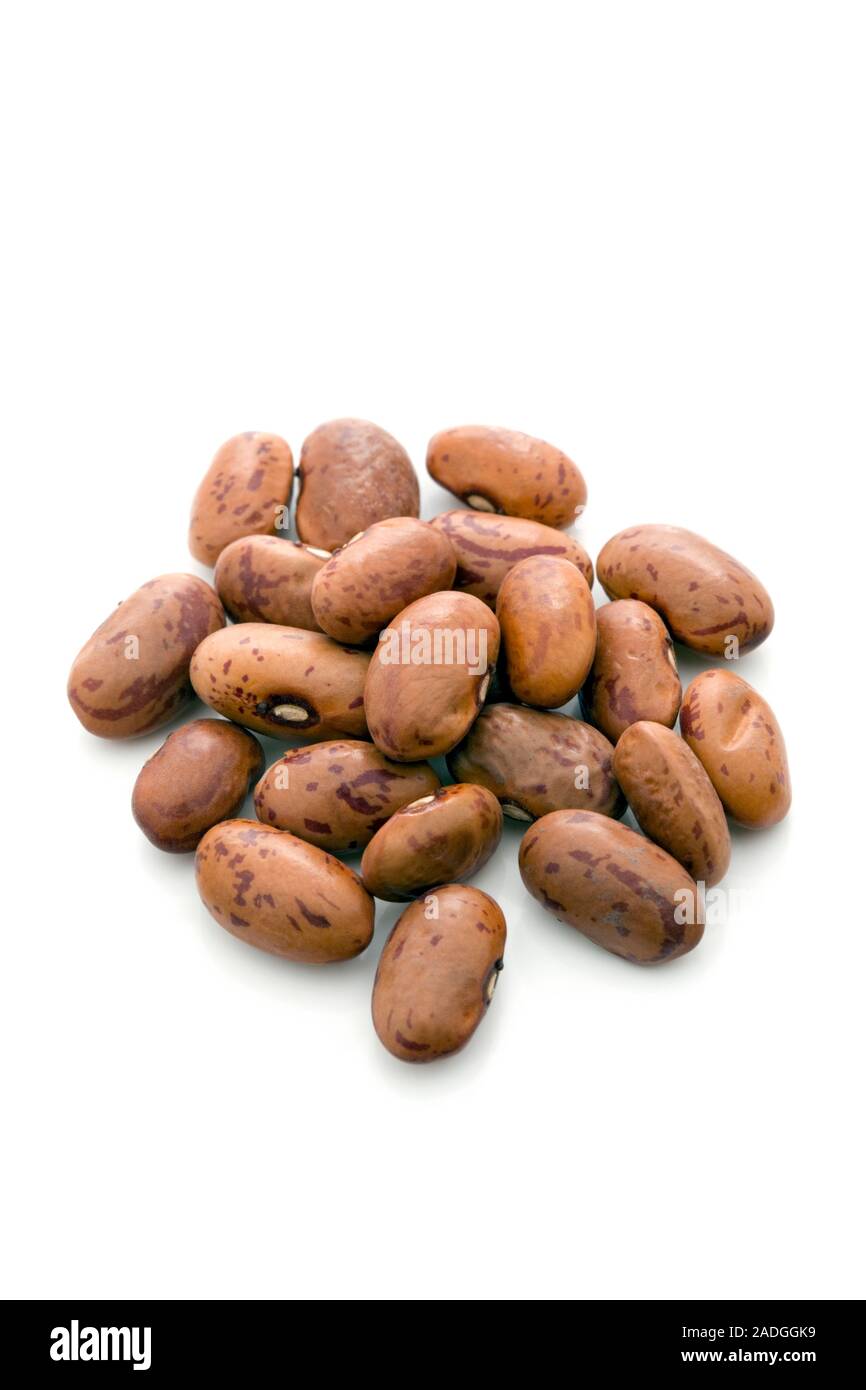 Borlotti beans (Phaseolus vulgaris). These are a variety of Kidney bean