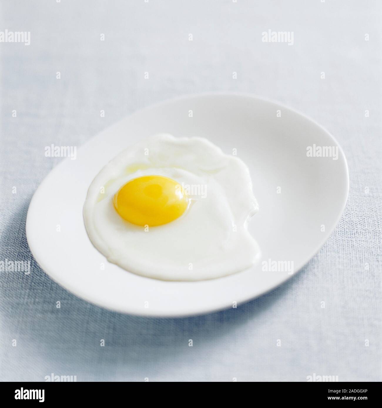 Fried egg on a plate. Stock Photo