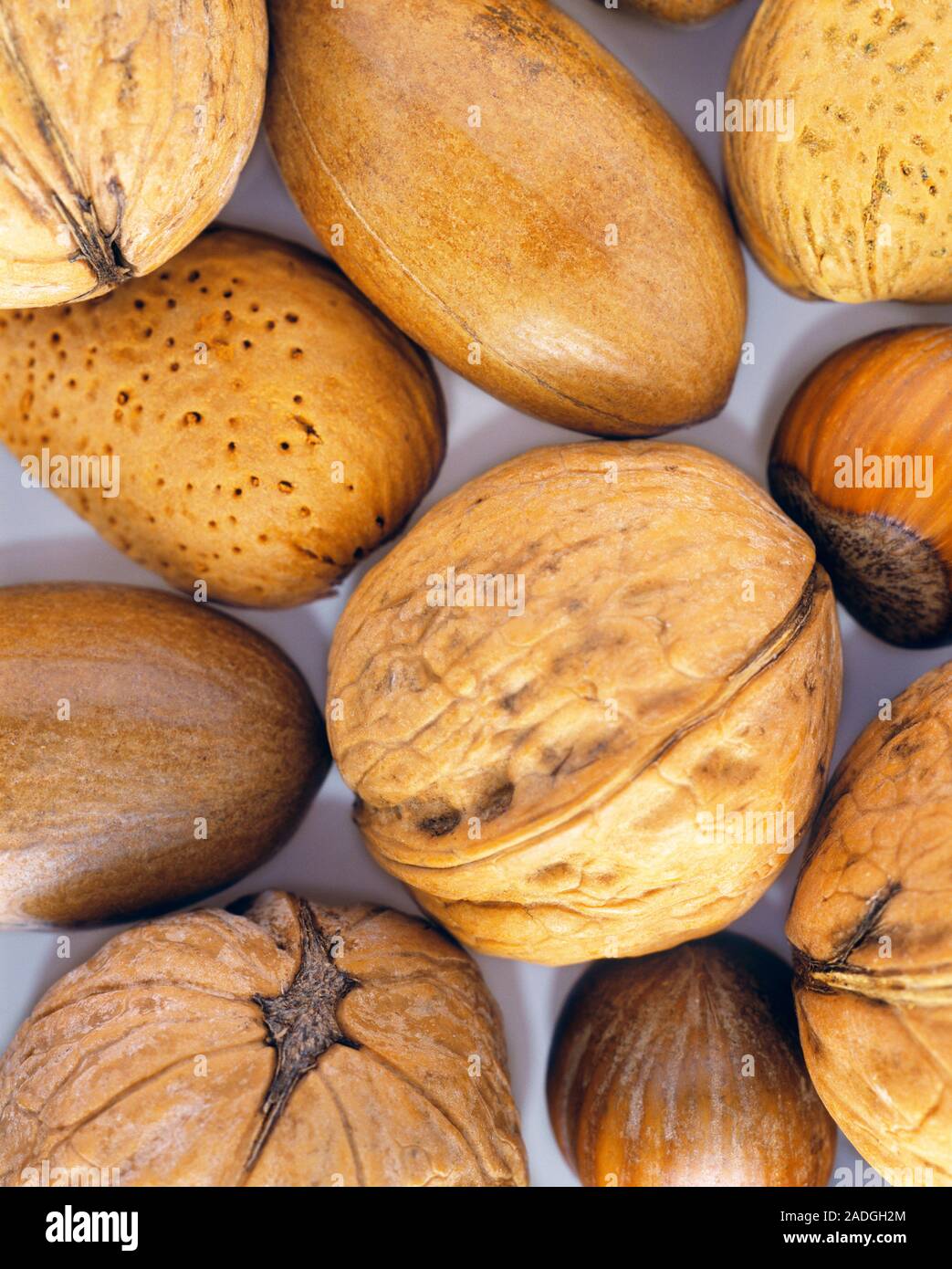 Assorted nuts. These nuts are walnuts, almonds, hazelnut and pecan nuts. Nuts are a rich source