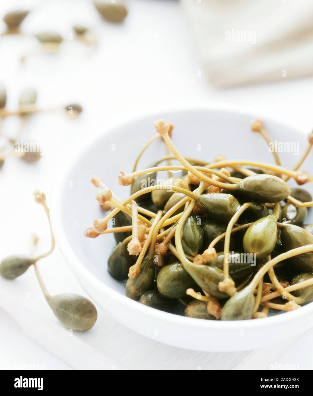 Caper In Cooking Capers What Are They