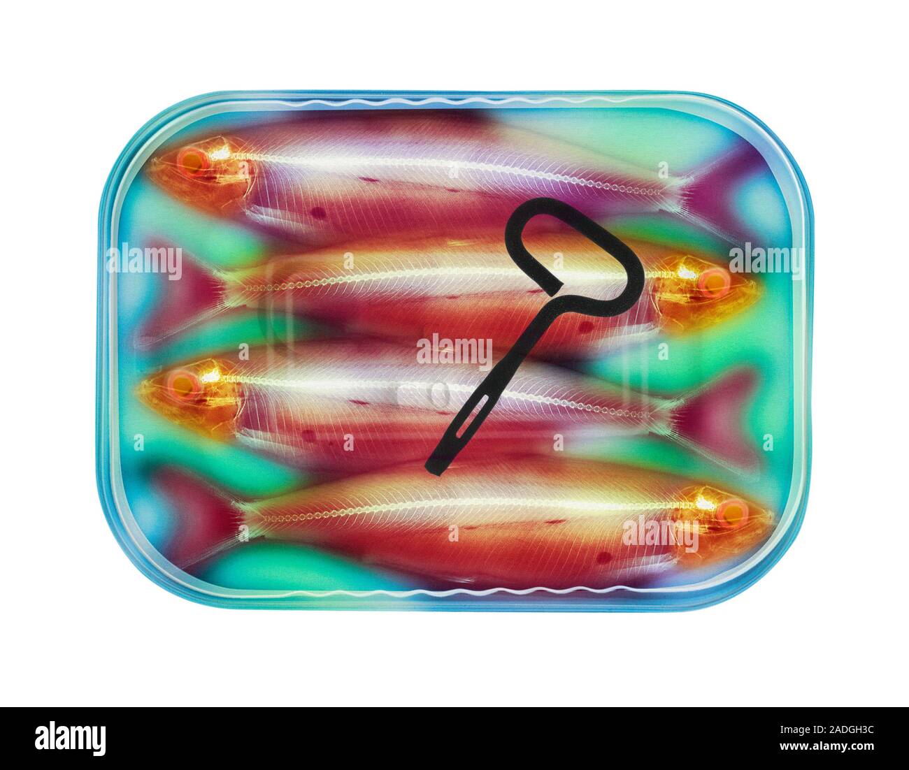 Sardines in a tin, coloured Xray. The key (black) at centre is used to