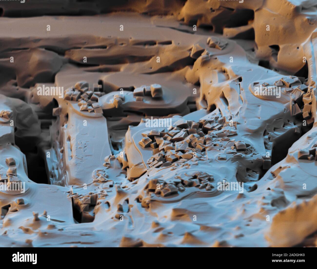 Common salt crystals. Coloured scanning electron micrograph (SEM) of
