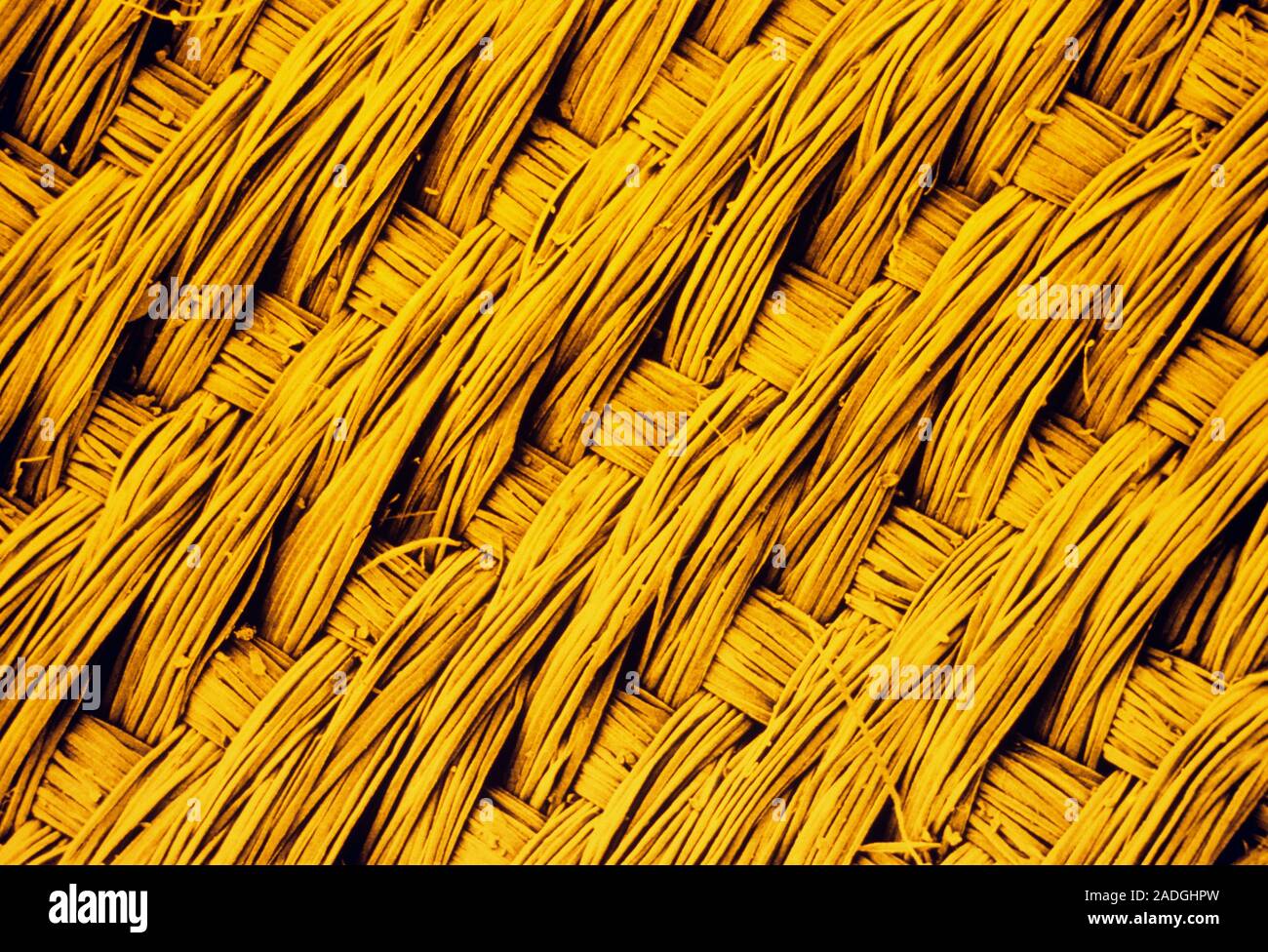 False colour scanning electron micrograph (SEM) showing the weave of a piece of fabric made of silk. Coloured gold. Original is bw print H120/03M. Stock Photo