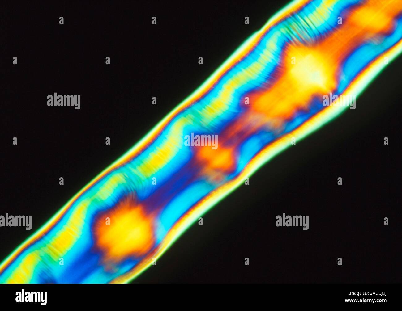 Plm Microscope Liquid crystal fibres. Polarised light micrograph (PLM) of an extruded ...