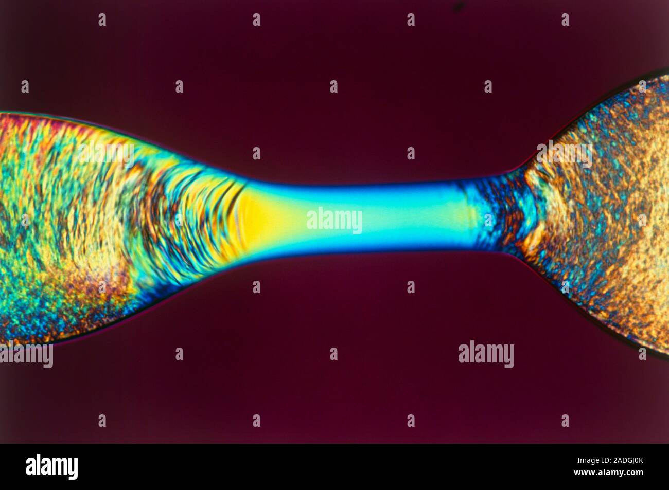 Plm Microscope Liquid crystal fibres. Polarised light micrograph (PLM) of two extruded ...