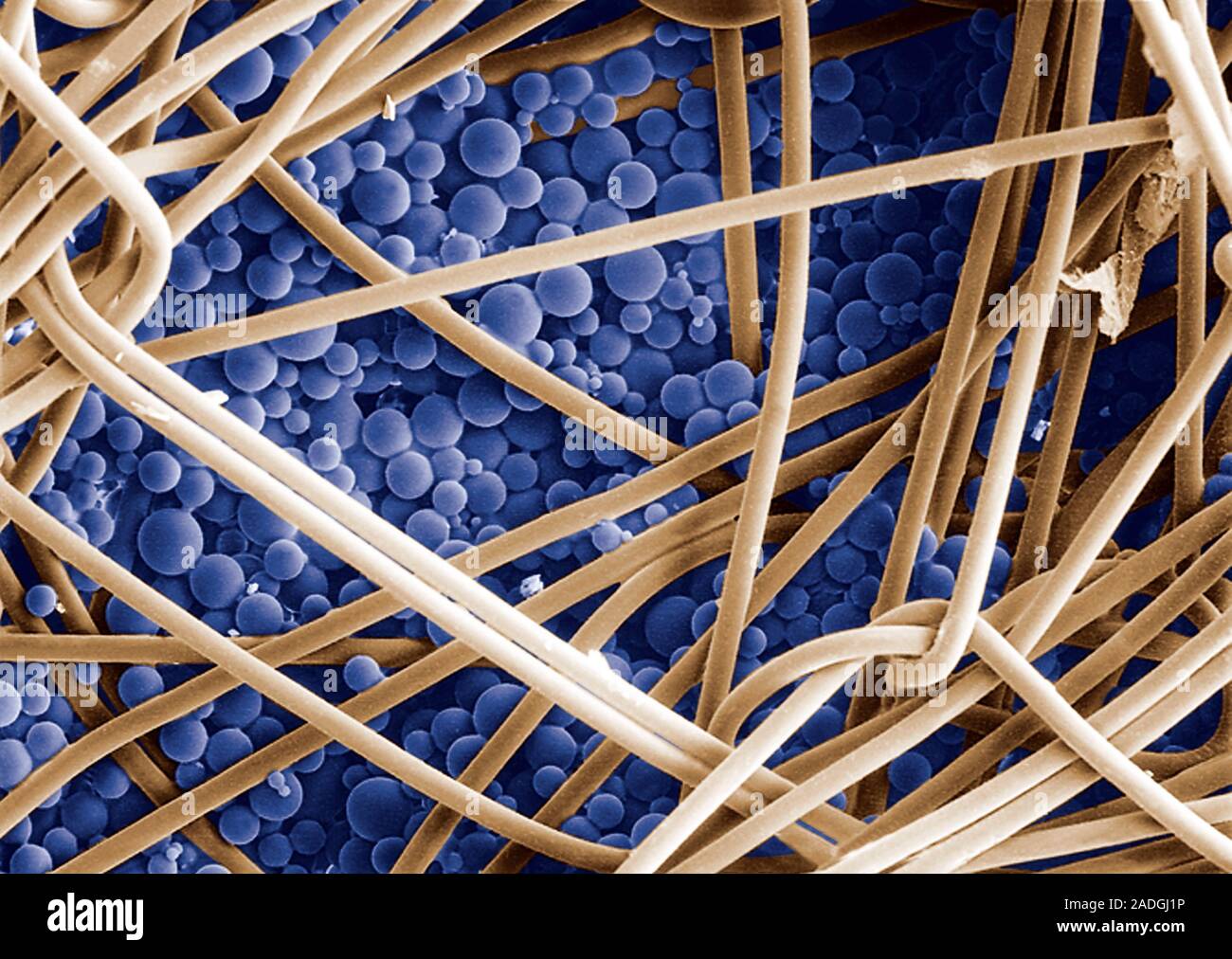 Phase change material. Coloured scanning electron micrograph (SEM) of