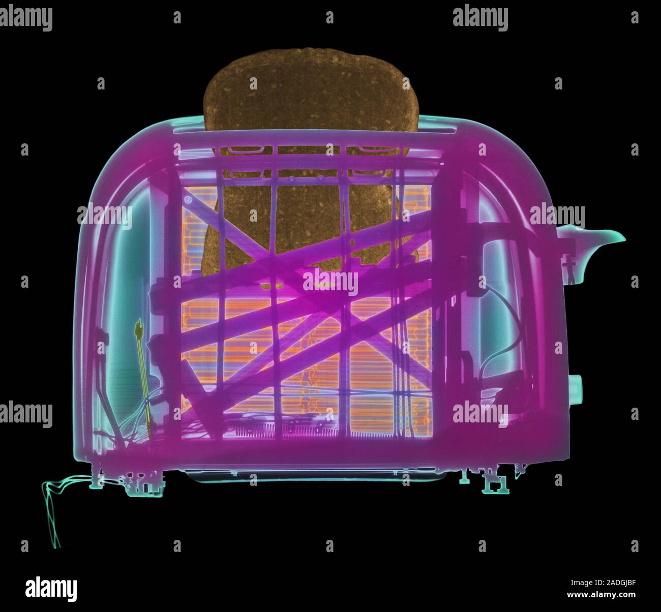 Popup toaster. Coloured Xray of a 1960's electric toaster with